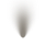 valuable